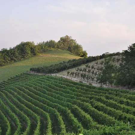 Apartmán Agriturismo 6 25 Posti Letto Dogliani