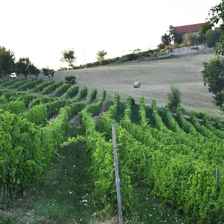 Agriturismo 6 25 Posti Letto *